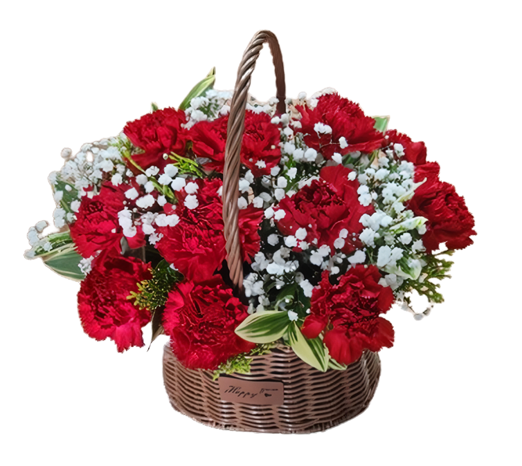 dbca4653fb2d36667a9737a13de4af0d_1778464941_7105.png