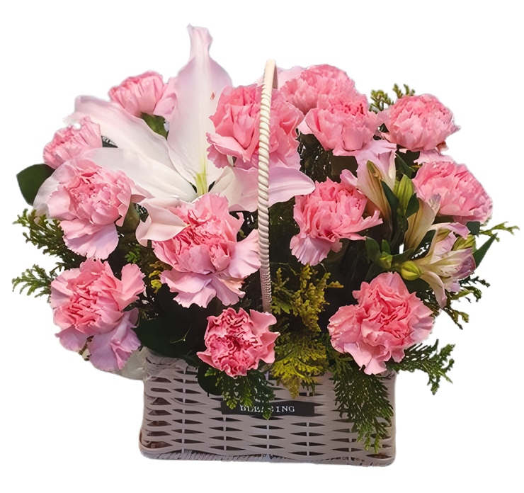 dbca4653fb2d36667a9737a13de4af0d_1778465121_6935.png